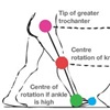 Gait Analysis