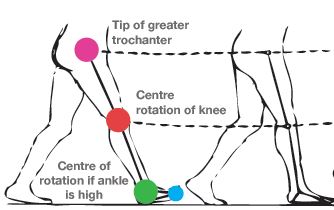 Gait Analysis