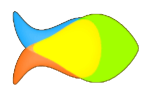WalkEy app for gait (walking pattern) analysis